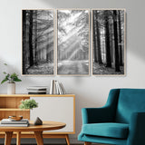39665-MGV-CV-36X24-Black and White Forest Path Wall Art – Sunlight Rays in Trees Canvas Print, Nature Landscape Decor for Living Room or Office