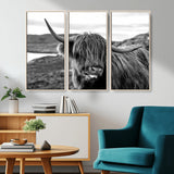 83810-MGV-CV-36X24-Highland Cow Wall Art – Black and White Highland Cattle Print, Rustic Farmhouse Animal Decor for Living Room or Office