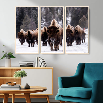 66871-MGV-CV-36X24-Bison Herd Wall Art – Wildlife Buffalo Canvas Print, Rustic Western Nature Photography Decor for Living Room, Office, Cabin, or