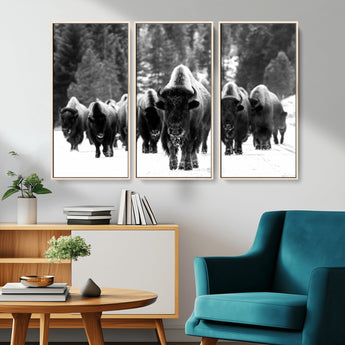 62434-MGV-CV-36X24-Bison Herd Wall Art – Majestic Black and White Buffalo Canvas Print, Wildlife Nature Photography Decor for Living Room, Office or