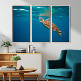 91440-MGV-CV-36X24-Sea Turtle Wall Art – Ocean Turtle Canvas Print, Underwater Marine Life Decor for Living Room, Office, Beach House or Bathroom