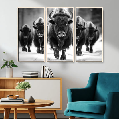 79872-MGV-CV-36X24-Bison Herd Wall Art – Black and White Buffalo on Snow Canvas Print, Rustic Wildlife Decor for Lodge, Cabin, or Living Room