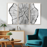 98709-MGV-CV-36X24-Tree Ring Wall Art – Black and White Canvas Print Rustic Wood Cross Section, Minimal Nature Inspired Decor for Living Room,