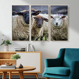 18418-MGV-CV-36X24-Sheep Wall Art Canvas Print, Framed Farmhouse Sheep Art Picture Print, Sheep Herd Perfect Rustic Farmhouse Decor Artwork