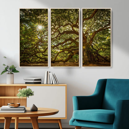 57983-MGV-CV-36X24-Angel Oak Tree Wall Art Canvas Print, Framed Oak Tree Art Picture Print, Angel Oak Perfect Rustic Nature Decor Artwork