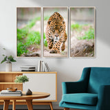 75066-MGV-CV-36X24-Leopard Wall Art Canvas Print, Framed Wild Animal Art Picture Print, Blue Eye Leopard Perfect Wild Minimal Decor Artwork