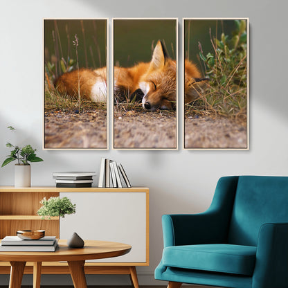 25085-MGV-CV-36X24-Sleeping Fox Wall Art Canvas Print, Framed Rustic Fox Art Picture Print, Wildlife Animal Perfect Rustic Farmhouse Decor Artwork