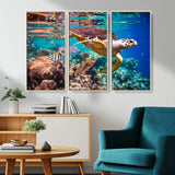 66614-MGV-CV-36X24-Sea Turtle Wall Art – Hawksbill Turtle Swimming Over Coral Reef Canvas Print, Ocean Marine Life Decor for Beach House, Coastal