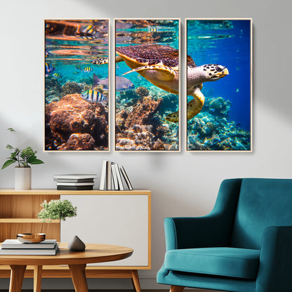66614-MGV-CV-36X24-Sea Turtle Wall Art – Hawksbill Turtle Swimming Over Coral Reef Canvas Print, Ocean Marine Life Decor for Beach House, Coastal