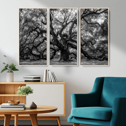 132944706-MGV-CV-36X24-Ancient Tree Wall Art – Black and White Photography Canvas Print Featuring Majestic Twisting Branches, Rustic Nature Artwork for
