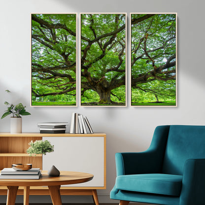 49375306-MGV-CV-36X24-Ancient Tree Wall Art Canvas Print, Framed Sprawling Branches Art Picture Print, Gnarling Tree Perfect Earthy Natural Decor
