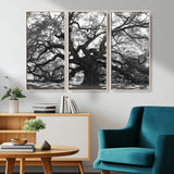 81655611-MGV-CV-36X24-Ancient Oak Wall Art Canvas Print, Framed Twisted Branches Art Picture Print, Gnarled Tree Perfect Moody Nature Decor Artwork