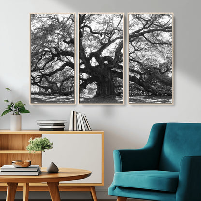 81655611-MGV-CV-36X24-Ancient Oak Wall Art Canvas Print, Framed Twisted Branches Art Picture Print, Gnarled Tree Perfect Moody Nature Decor Artwork