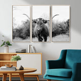 97280319-MGV-CV-36X24-Longhorn Photography Wall Art Canvas Print, Framed Western Cow Decor Art Picture Print, Texas Ranch Style Perfect Rustic Farmhouse
