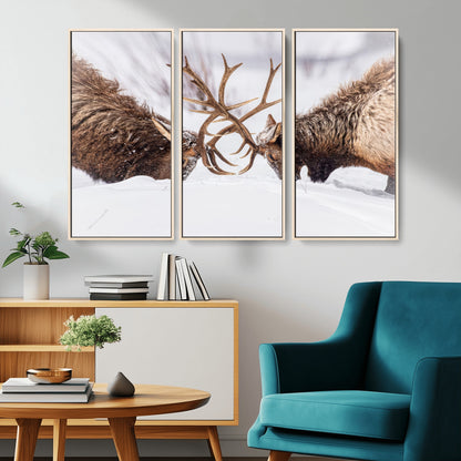 36507609-MGV-CV-36X24-Elk Clash Scene Wall Art Canvas Print, Framed Wildlife Strength Decor Art Picture Print, Snowy Forest Elk Perfect Rustic Lodge