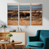 39509187-MGV-CV-36X24-Western Wildlife Wall Art Canvas Print, Framed Bison Art Picture Print, Golden Hour Perfect Western Rustic Decor Artwork