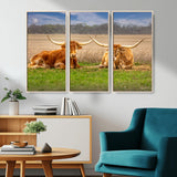 54598515-MGV-CV-36X24-Texas Longhorns Wall Art – Rustic Cattle Ranch Canvas Print, Western Farmhouse Animal Photography Decor for Living Room, Office,