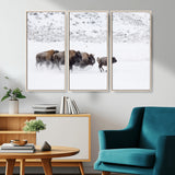 61161423-MGV-CV-36X24-Running Bison Herd Wall Art – Winter Buffalo Canvas Print, Wildlife Photography Decor for Rustic Living Room, Farmhouse, Lodge,