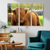 68411138-MGV-CV-36X24-Farmhouse Wall Art – Highland Cow Canvas Print, Rustic Country Cattle Photography Decor for Bedroom, Living Room, Office, Ranch,
