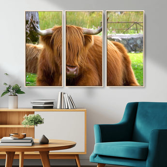 68411138-MGV-CV-36X24-Farmhouse Wall Art – Highland Cow Canvas Print, Rustic Country Cattle Photography Decor for Bedroom, Living Room, Office, Ranch,