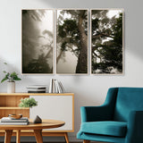 87969493-MGV-CV-36X24-Forest Wall Art – Misty Tall Trees Canvas Print, Dramatic Woodland Photography Decor for Bedroom, Living Room, Office, Cabin,