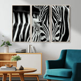 43631-MGV-CV-36X24-Zebra Wall Art – Black & White Safari Wildlife Canvas Print, Modern Animal Photography Decor for Living Room, Office, or Bedroom