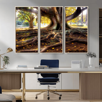 53335-MGV-CV-36X24-Majestic Tree with Sprawling Roots Wall Art – Serene Sunlit Park Scene, Nature Canvas Print, Perfect for Living Room, Office or