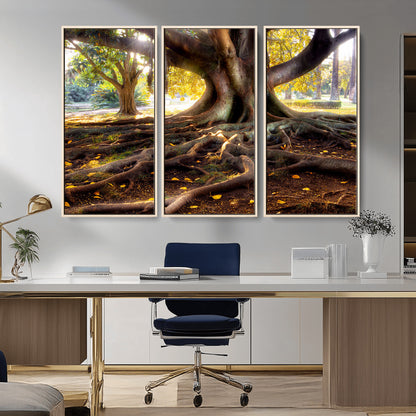 53335-MGV-CV-36X24-Majestic Tree with Sprawling Roots Wall Art – Serene Sunlit Park Scene, Nature Canvas Print, Perfect for Living Room, Office or