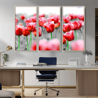 44554-MGV-CV-36X24-Vibrant red tulips stand out beautifully against a black-and-white background, making a striking decor piece perfect for any home