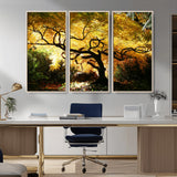 19067-MGV-CV-36X24-Golden Canopy Wall Art – Panoramic Autumn Tree Canvas Print, Warm Seasonal Decor for Living Room, Office or Garden Space