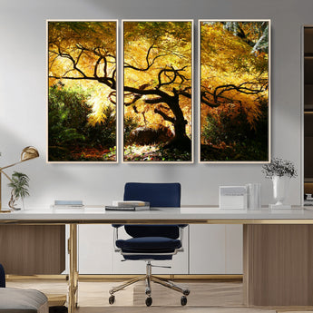 19067-MGV-CV-36X24-Golden Canopy Wall Art – Panoramic Autumn Tree Canvas Print, Warm Seasonal Decor for Living Room, Office or Garden Space