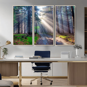 42047-MGV-CV-36X24-Sunlit Forest Path Wall Art – Nature Canvas Print, Serene Woodland Landscape, Perfect Home & Office Decor for Calm and Tranquil
