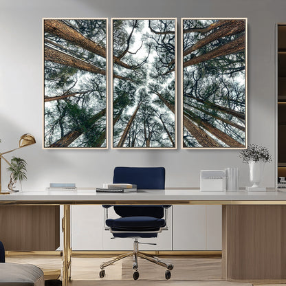 18790-MGV-CV-36X24-Pine Canopy Wall Art – Panoramic View of Towering Pines Canvas Print, Nature-Inspired Decor for Office, Cabin or Living Room