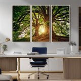 52150-MGV-CV-36X24-Majestic Tree Wall Art – Large Nature Canvas Print with Sunlight Through Branches, Rustic Forest Decor for Living Room, Bedroom or