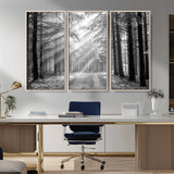 39665-MGV-CV-36X24-Black and White Forest Path Wall Art – Sunlight Rays in Trees Canvas Print, Nature Landscape Decor for Living Room or Office