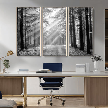 39665-MGV-CV-36X24-Black and White Forest Path Wall Art – Sunlight Rays in Trees Canvas Print, Nature Landscape Decor for Living Room
