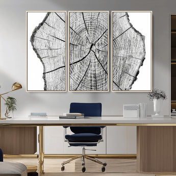98709-MGV-CV-36X24-Tree Ring Wall Art – Black and White Canvas Print Rustic Wood Cross Section, Minimal Nature Inspired Decor for Living Room,