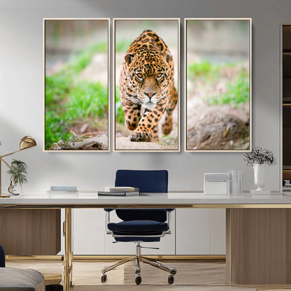 75066-MGV-CV-36X24-Leopard Wall Art Canvas Print, Framed Wild Animal Art Picture Print, Blue Eye Leopard Perfect Wild Minimal Decor Artwork