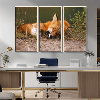 25085-MGV-CV-36X24-Sleeping Fox Wall Art Canvas Print, Framed Rustic Fox Art Picture Print, Wildlife Animal Perfect Rustic Farmhouse Decor Artwork