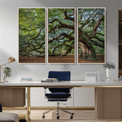MGV-FC-48X32-3P - Historic Tree Wall Art Canvas Print, Framed Mossy Tree Art Picture Print, Twisted Branches Perfect Nature Southern Decor Artwork