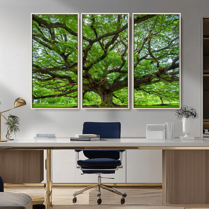 49375306-MGV-CV-36X24-Ancient Tree Wall Art Canvas Print, Framed Sprawling Branches Art Picture Print, Gnarling Tree Perfect Earthy Natural Decor