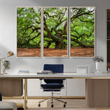 51255351-MGV-CV-36X24-Ancient Tree Wall Art – Majestic Oak Canvas Print, Large Nature Photography, Sacred Forest Landscape Wall Décor, Wisdom Tree