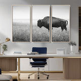 28435251-MGV-CV-36X24-Bison In Prairie Wall Art Canvas Print, Framed Rustic Wildlife Art Picture Print, Wild Buffalo Perfect Rustic Western Decor