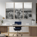 24051061-MGV-CV-36X24-Monochrome Highland Cow Wall Art Canvas Print, Framed Scottish Bull Art Picture Print, Lone Cattle Perfect Rustic Farmhouse Decor