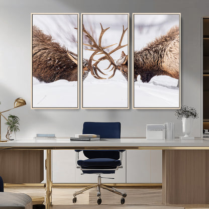 36507609-MGV-CV-36X24-Elk Clash Scene Wall Art Canvas Print, Framed Wildlife Strength Decor Art Picture Print, Snowy Forest Elk Perfect Rustic Lodge
