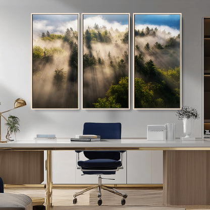 14785710-MGV-FC-48X32-3P_Natural-Tranquil Forest Scene Wall Art Canvas Print, Framed Sunbeam Through Trees Art Picture Print, Moody Green Wall Art Perfect