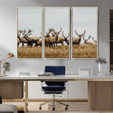 42170220-MGV-CV-36X24-Elk Herd Wall Art Canvas Print, Framed Wildlife Photography Art Picture Print, Majestic Antlers Perfect Rustic Wildlife Decor