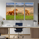 54598515-MGV-CV-36X24-Texas Longhorns Wall Art – Rustic Cattle Ranch Canvas Print, Western Farmhouse Animal Photography Decor for Living Room, Office,