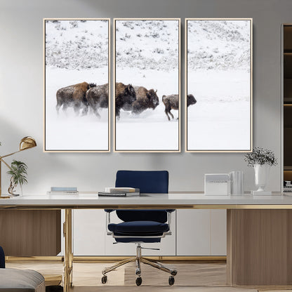 61161423-MGV-CV-36X24-Running Bison Herd Wall Art – Winter Buffalo Canvas Print, Wildlife Photography Decor for Rustic Living Room, Farmhouse, Lodge,