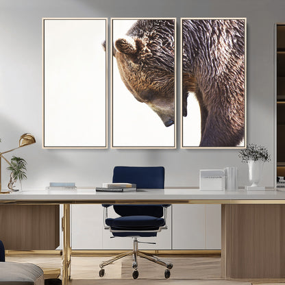 14405507-MGV-FC-48X32-3P_Natural-Bear Wall Art – Wildlife Canvas Print with Rustic Animal Portrait and Minimalist Background, Nature Inspired Photography for